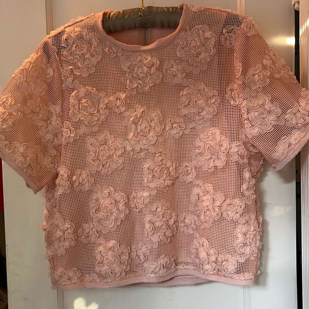 Floral-on-Mesh Peach Short Sleeve Blouse by H&M